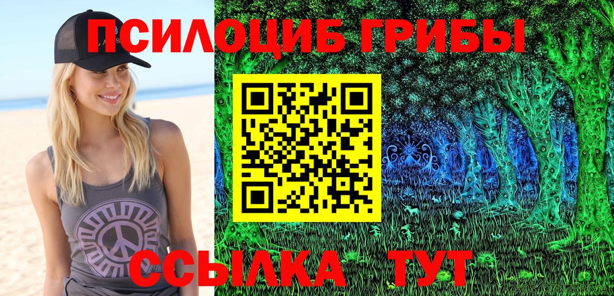 Псилоцибиновые грибы Cubensis Унеча