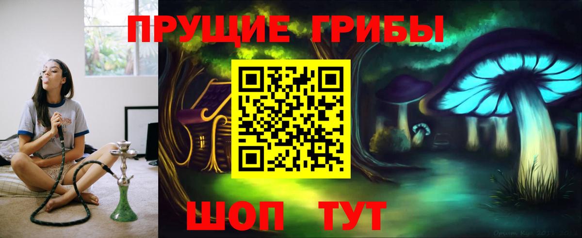 Унеча  Псилоцибиновые грибы мицелий  Вход с VPN 